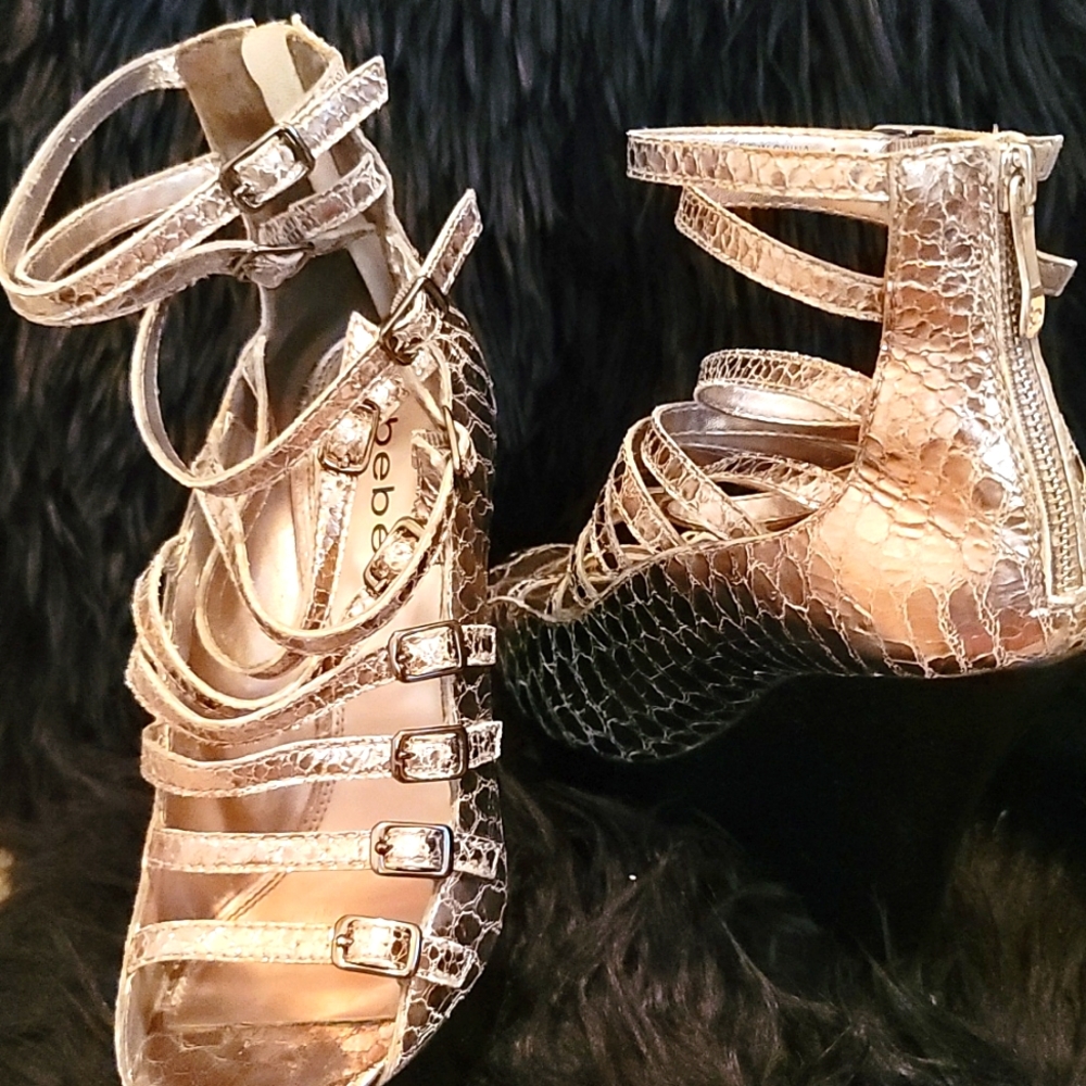 Shoe
